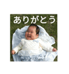 よめスタンプ（個別スタンプ：1）