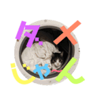 猫の奈留さん（個別スタンプ：20）
