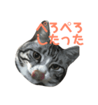 ひかりとダイエット（個別スタンプ：1）