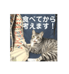 ひかりとダイエット（個別スタンプ：2）