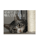ひかりとダイエット（個別スタンプ：5）