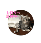 ひかりとダイエット（個別スタンプ：7）