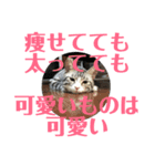 ひかりとダイエット（個別スタンプ：9）