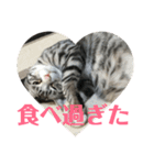 ひかりとダイエット（個別スタンプ：10）