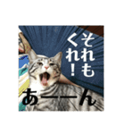 ひかりとダイエット（個別スタンプ：11）