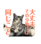 ひかりとダイエット（個別スタンプ：12）