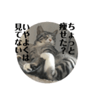 ひかりとダイエット（個別スタンプ：16）