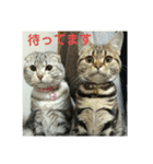 みかんファミリー *（個別スタンプ：11）