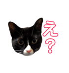 まりもともなか（個別スタンプ：3）