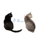 まりもともなか（個別スタンプ：5）