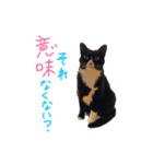 まりもともなか（個別スタンプ：7）