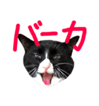 まりもともなか（個別スタンプ：9）