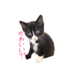まりもともなか（個別スタンプ：12）