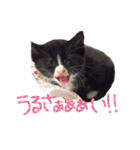 まりもともなか（個別スタンプ：13）