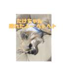 たけちゃんに送るスタンプ！（個別スタンプ：5）
