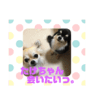 たけちゃんに送るスタンプ！（個別スタンプ：6）