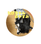 たけちゃんに送るスタンプ！（個別スタンプ：7）