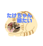たけちゃんに送るスタンプ！（個別スタンプ：9）