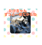 たけちゃんに送るスタンプ！（個別スタンプ：10）