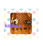たけちゃんに送るスタンプ！（個別スタンプ：13）