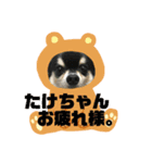 たけちゃんに送るスタンプ！（個別スタンプ：15）