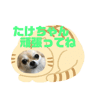 たけちゃんに送るスタンプ！（個別スタンプ：16）