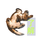 犬 のあ（個別スタンプ：1）