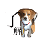 犬 のあ（個別スタンプ：2）