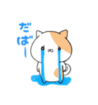 ハムねこ と ねこすけ（個別スタンプ：13）