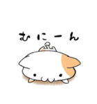 ハムねこ と ねこすけ（個別スタンプ：15）