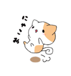 ハムねこ と ねこすけ（個別スタンプ：16）