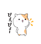 ハムねこ と ねこすけ（個別スタンプ：17）