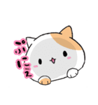 ハムねこ と ねこすけ（個別スタンプ：22）