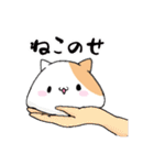 ハムねこ と ねこすけ（個別スタンプ：33）