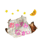 柴犬みみ太です。挨拶編（個別スタンプ：14）