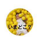 よもぎでほいほい（個別スタンプ：25）