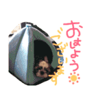 栄五郎（個別スタンプ：1）