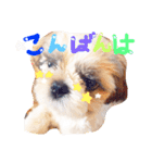 栄五郎（個別スタンプ：3）
