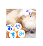 栄五郎（個別スタンプ：4）
