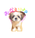 栄五郎（個別スタンプ：7）