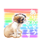 栄五郎（個別スタンプ：11）