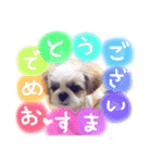 栄五郎（個別スタンプ：13）