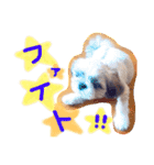 栄五郎（個別スタンプ：17）