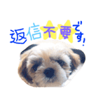 栄五郎（個別スタンプ：18）