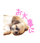 栄五郎（個別スタンプ：19）