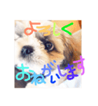 栄五郎（個別スタンプ：20）