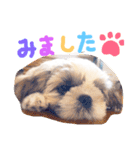 栄五郎（個別スタンプ：24）