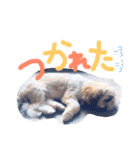 栄五郎（個別スタンプ：25）