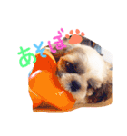 栄五郎（個別スタンプ：26）