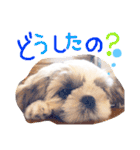 栄五郎（個別スタンプ：27）